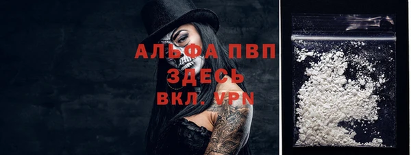 ГАЛЛЮЦИНОГЕННЫЕ ГРИБЫ Каменка