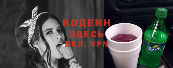 ГАЛЛЮЦИНОГЕННЫЕ ГРИБЫ Каменка