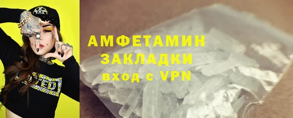 ГАЛЛЮЦИНОГЕННЫЕ ГРИБЫ Каменка