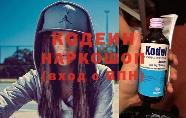 ГАЛЛЮЦИНОГЕННЫЕ ГРИБЫ Каменка