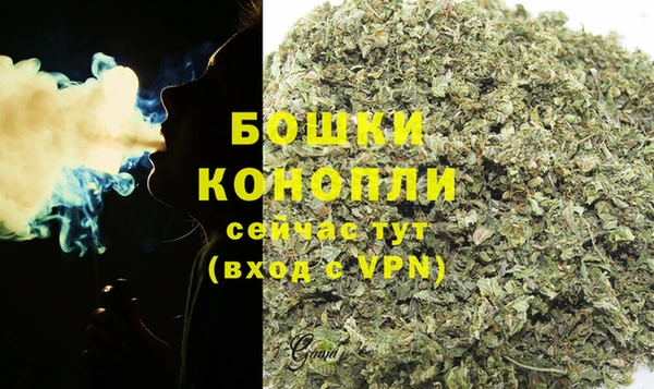 ГАЛЛЮЦИНОГЕННЫЕ ГРИБЫ Каменка