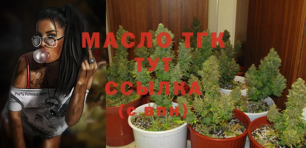 ГАЛЛЮЦИНОГЕННЫЕ ГРИБЫ Каменка