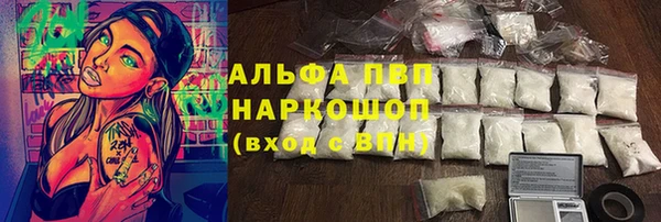 эйфоретик Каменногорск